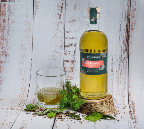 LIQUEUR DE PLANTES - HARMONIE 40% - 70 CL
